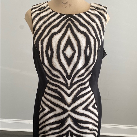 Elegant Black and White Zebra color block Dress - Picture 1 of 3